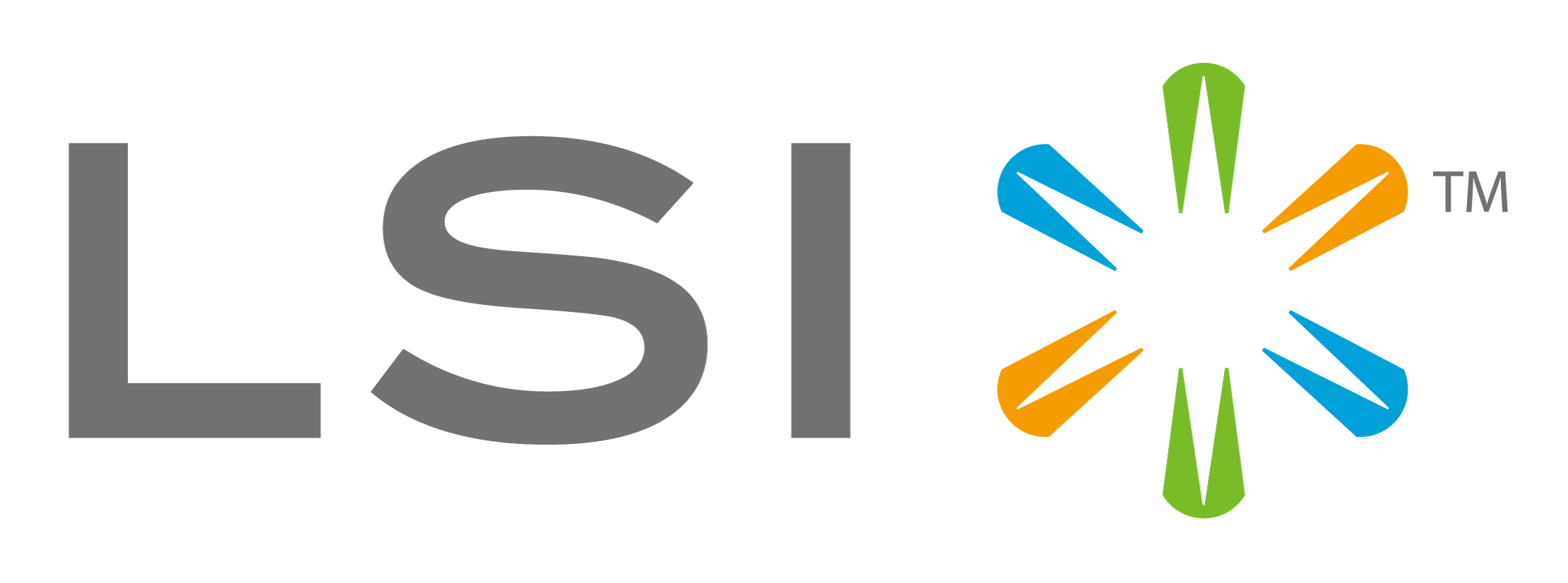 LSI www.lsi.com